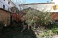 VBS_0573 - Messer Tulipano 2026 - Inaugurazione